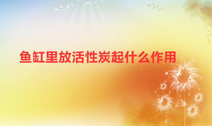 鱼缸里放活性炭起什么作用（鱼缸放活性炭的好处）
