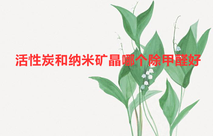 活性炭和纳米矿晶哪个除甲醛好