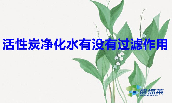 活性炭净化水有没有过滤作用（活性炭在净水行业的应用）