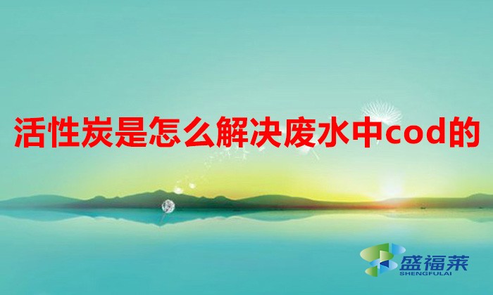 活性炭是怎么解决废水中cod的