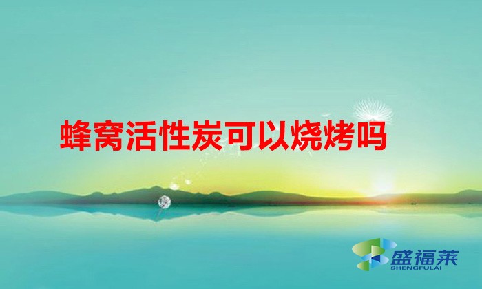 蜂窝活性炭可以烧烤吗（用蜂窝活性炭烧烤需要注意什么）