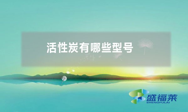 活性炭有哪些型号（活性炭按照形状分类）