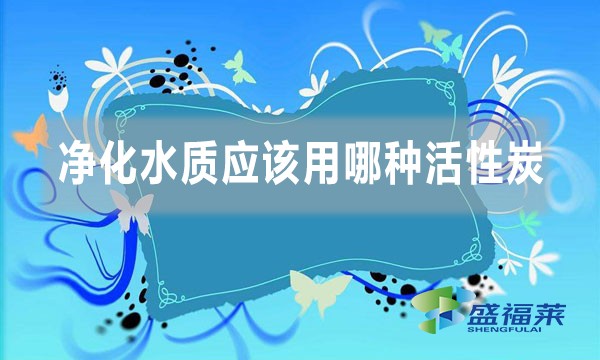 净化水质应该用哪种活性炭（不同水质使用不同类型的活性炭）