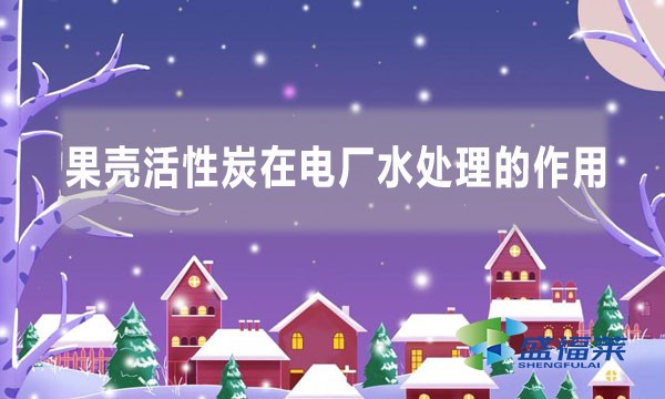 果壳活性炭在电厂水处理的作用（果壳活性炭的作用和功效）