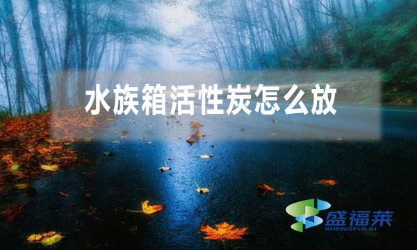 水族箱活性炭怎么放（水族箱活性炭正确使用方法）