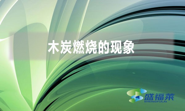 木炭燃烧的现象