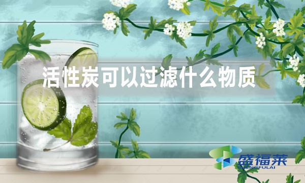活性炭的吸附能力及其过滤物质的详细介绍