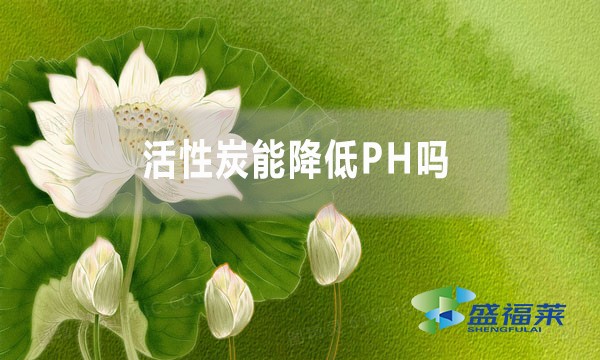 活性炭能降低PH吗？为什么？