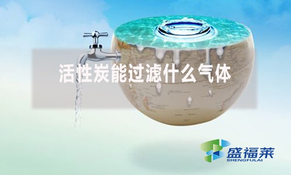 活性炭能过滤什么气体