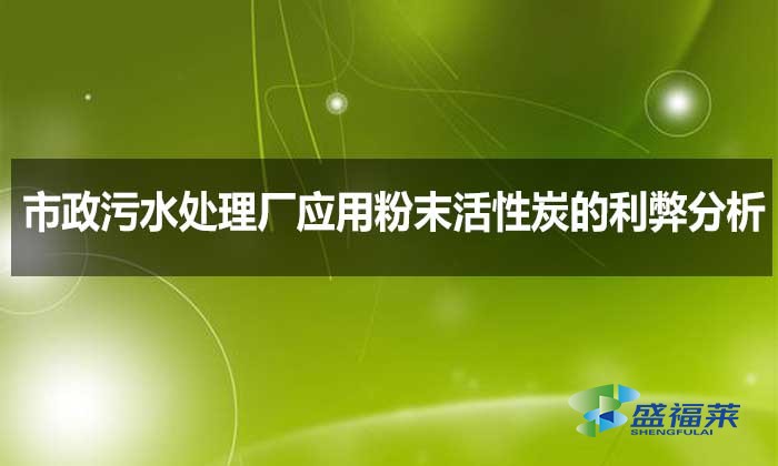 市政污水处理厂应用粉末活性炭的利弊分析